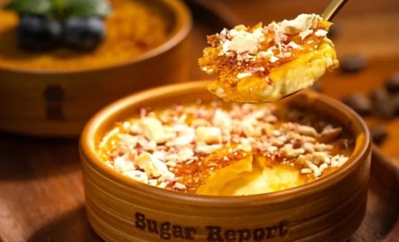 新宝GG—创立事业平台在线登录